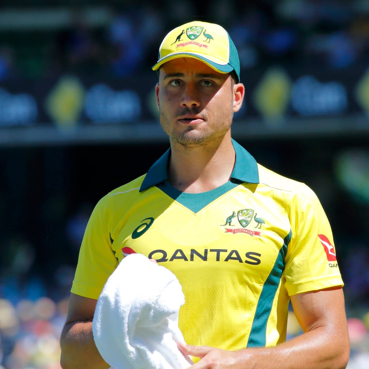 Photograph of Marcus Stoinis